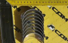 Вкладыш шатунный  комплект 8 шт.CDM932N/936N 4102QBZL-04-006