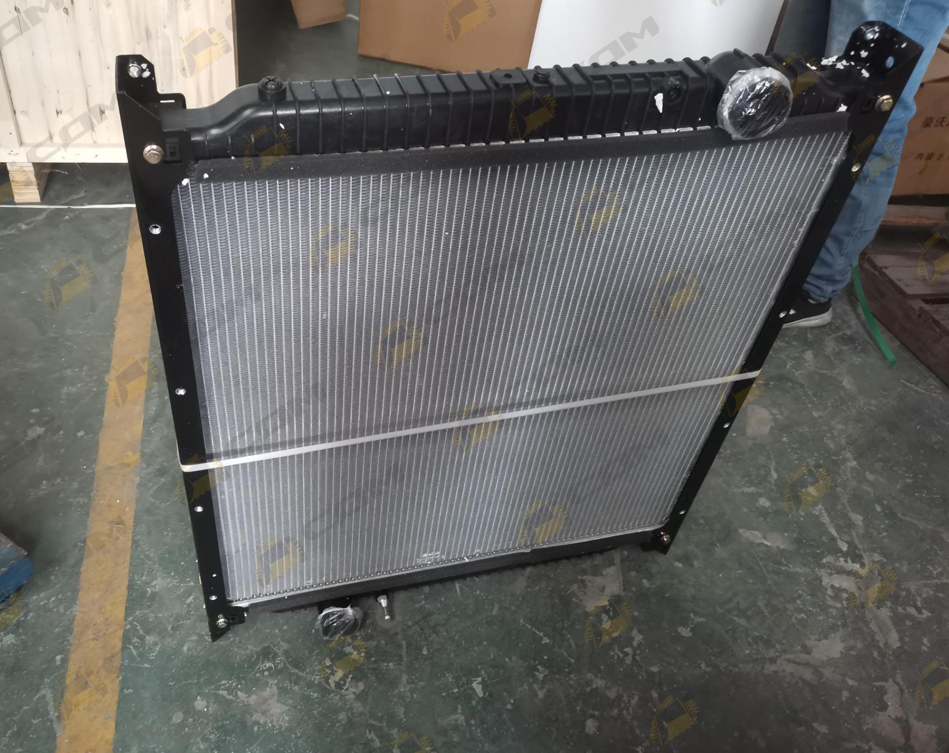 Радиатор основной Euro-4 WG9725530129